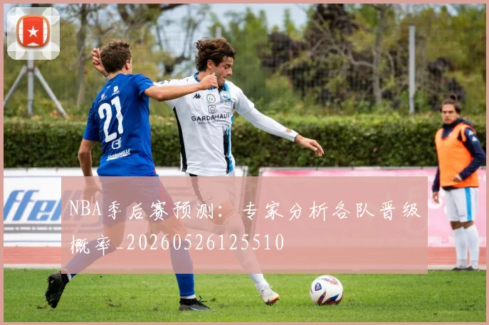 NBA季后赛预测:专家分析各队晋级概率_20260526125510